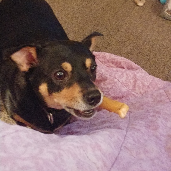 Meet your Posher, Debbie - Picture 1 of 1